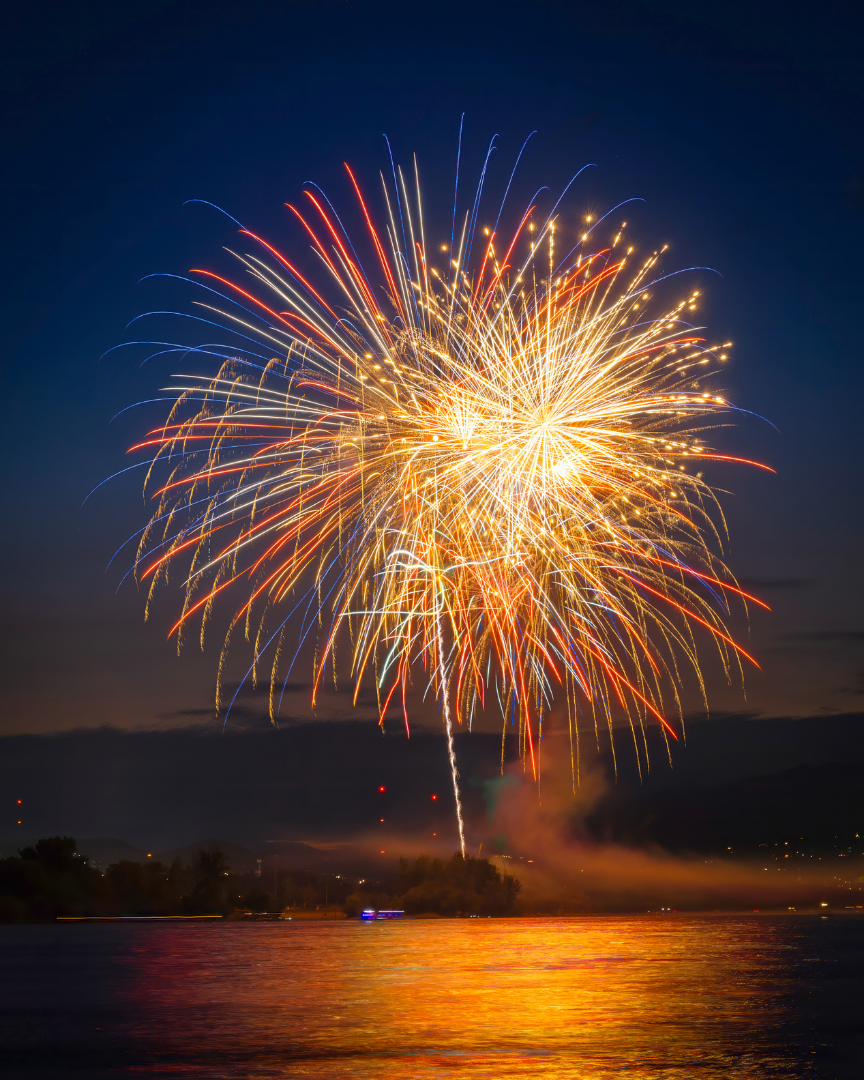 Preparing Your Pets for Bonfire Night
